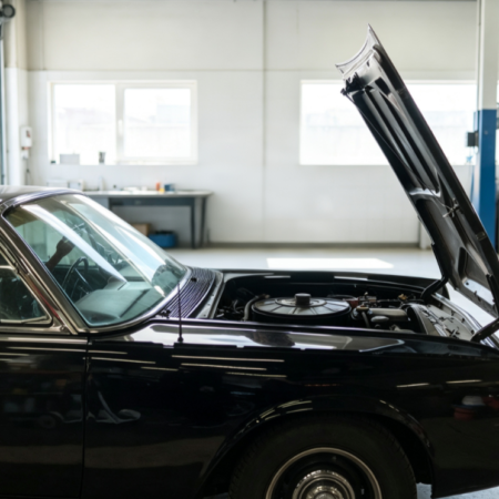 Car Engine Fault Diagnosis & Engine Compartment Condition Inspection Service